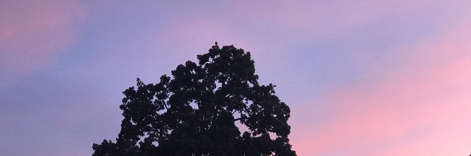 Subridentl's profile banner image