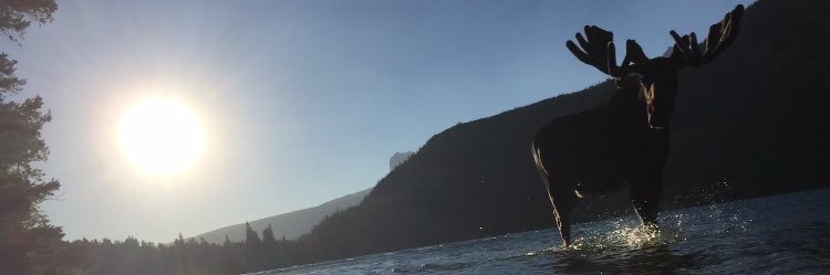 lcaronson's profile banner image