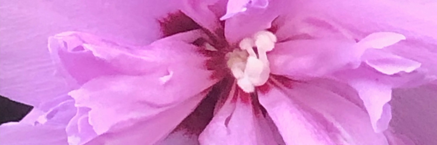 ks1o's profile banner image