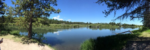 davetrost Profile Banner