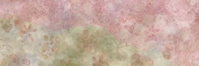 jayden banner