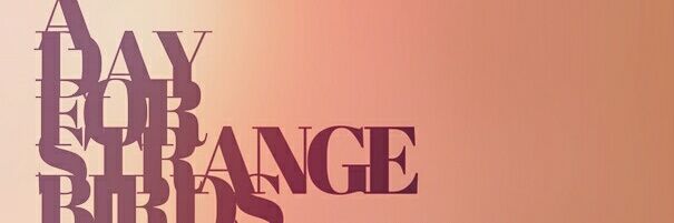 ADFStrangeBirds's profile banner image