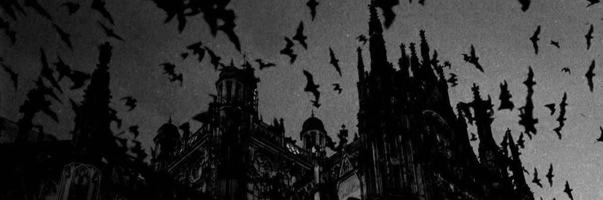 xvenodi's profile banner image