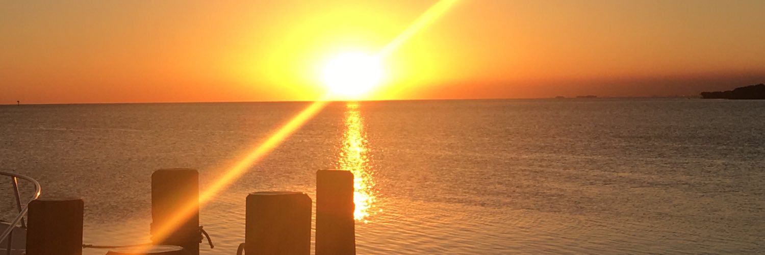 ReinReint's profile banner image