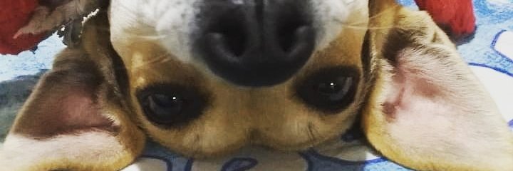 camiplatun's profile banner image