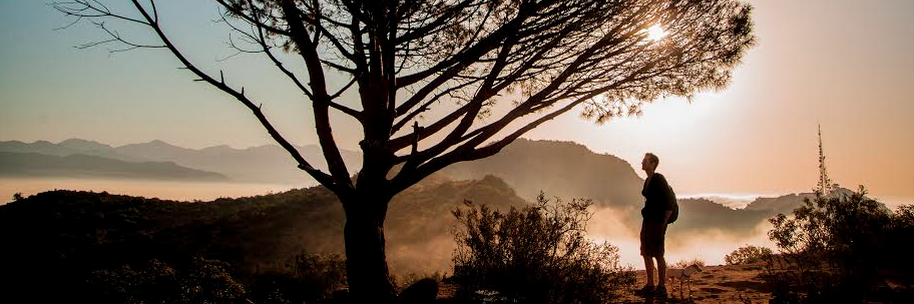 Brian Champlin banner