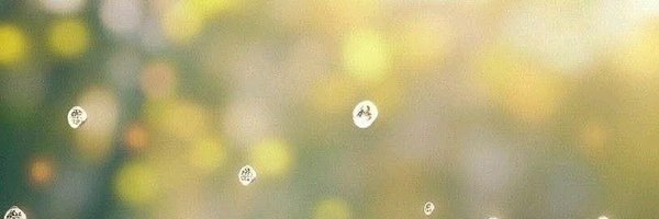 ward_irg Profile Banner