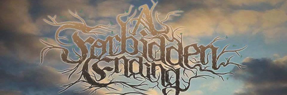 BANDOFFICIALAFE's profile banner image
