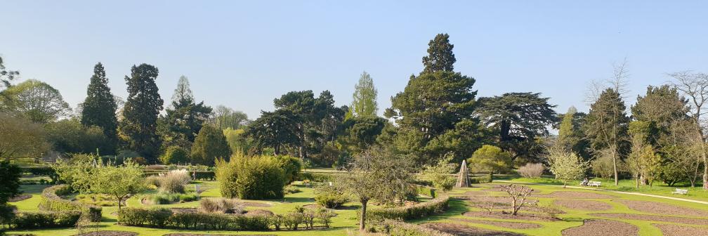 Mainda Kiwelu banner