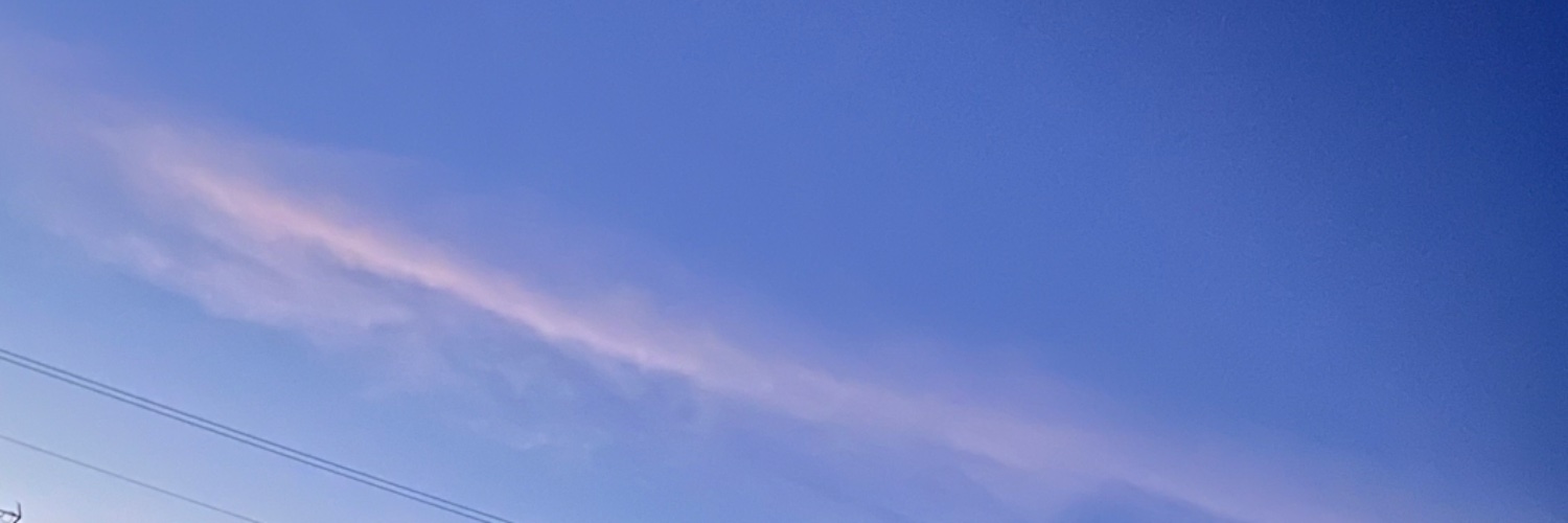 dlm banner