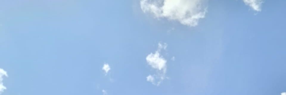 pawcaties's profile banner image