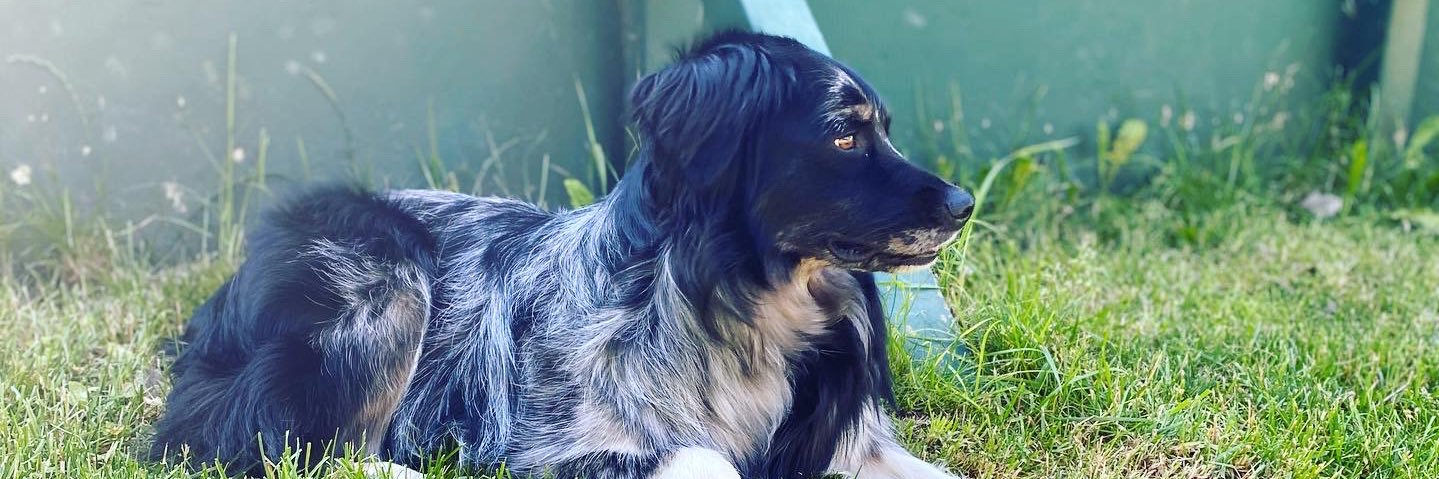 KenzersC's profile banner image