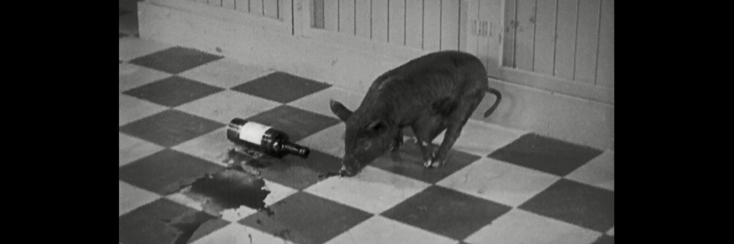 Ruairí McCann banner