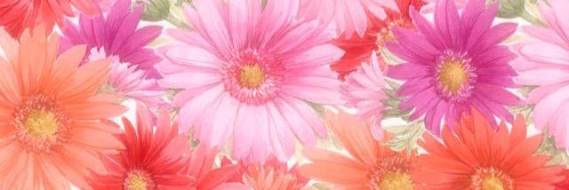 llsibert's profile banner image