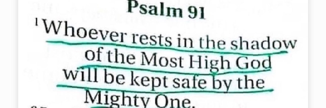 Cheeki🌹🚀 banner