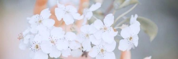 __nrl__'s profile banner image