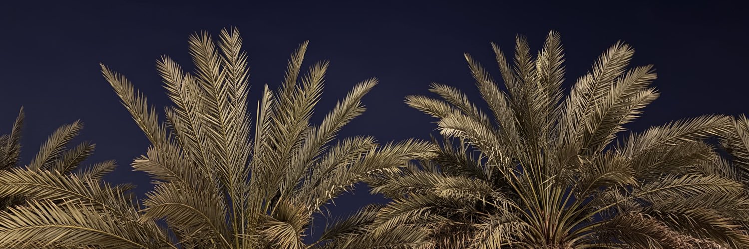 R banner