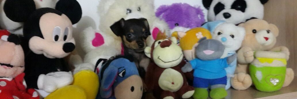 Juliana lozada banner