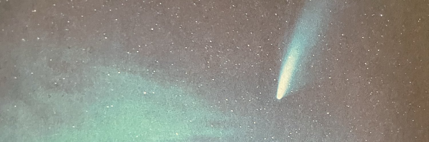 Lemon_And_Sea's profile banner image