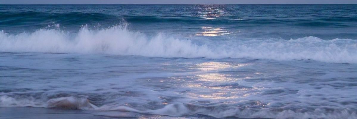 Archie 🌊's banner