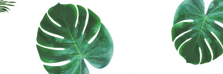 AleBerezowsky's profile banner image