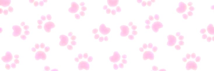 Jalaura 🐾⋆˚࿔ banner