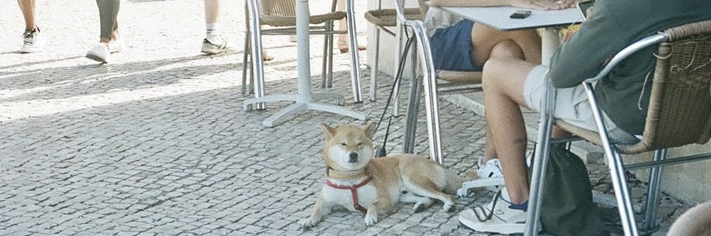 hi's banner