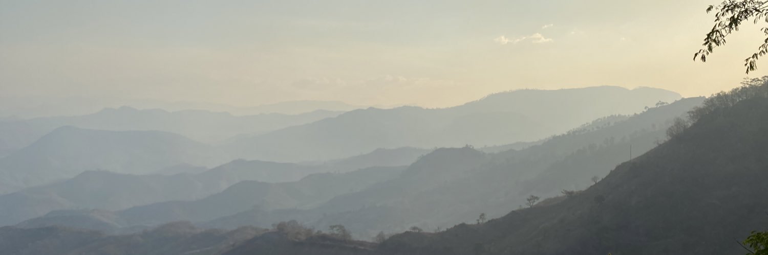 timatterberry's profile banner image