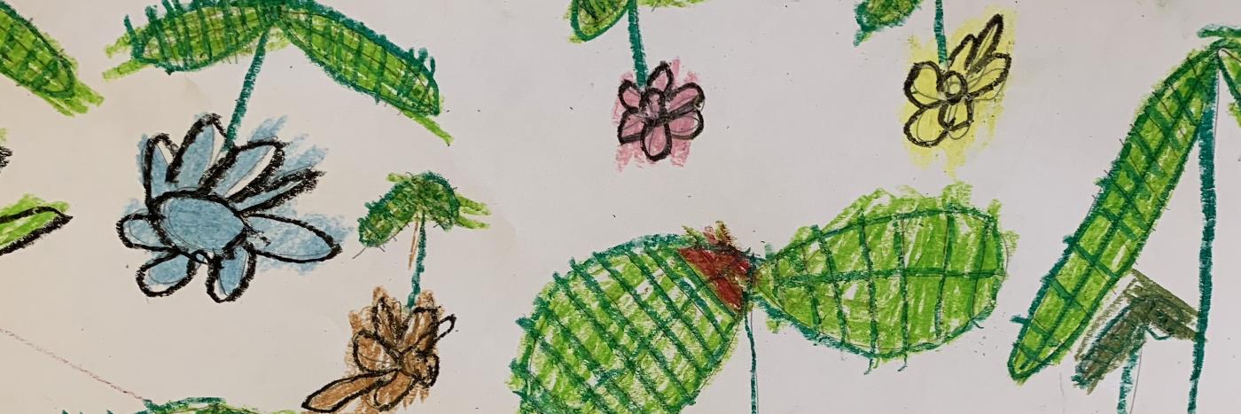 nicola shirkey banner