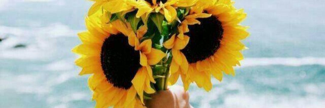 Diviaa_'s profile banner image