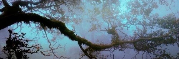 _Ryosuke_sh Profile Banner