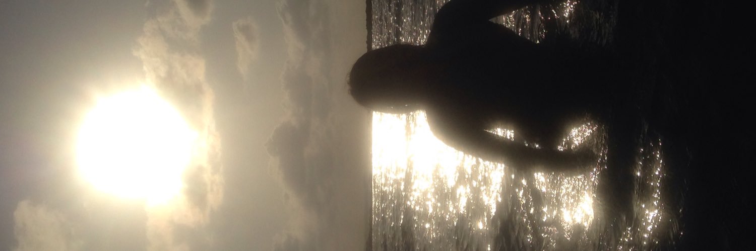 Gilmarcolon's profile banner image