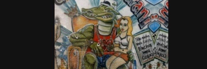 FLAMENGO, A REVOLUÇÃO banner