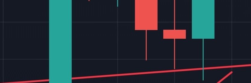 The Individual Crypto Investor🤘 banner