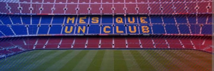 FERMINISMO (UFC VERSION) 💙❤️ banner