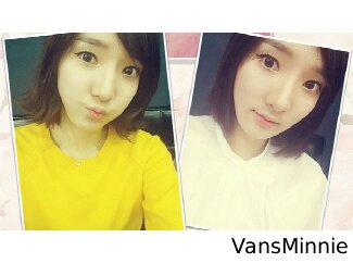 VansMinnie's profile banner image