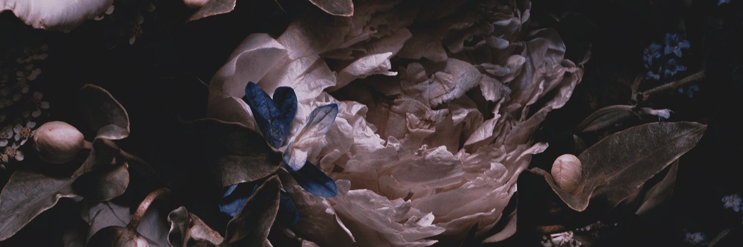 chenqing_mp3's profile banner image