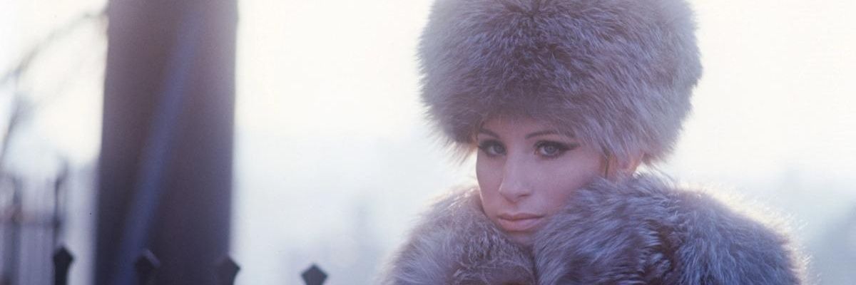 SilverFoxSissy banner