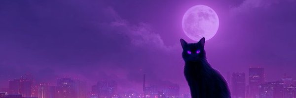 shadicti Profile Banner