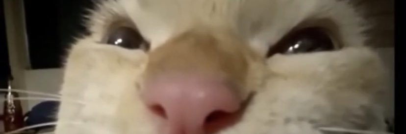 unknowntr4ce's profile banner image