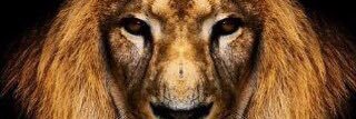 kool_presh's profile banner image