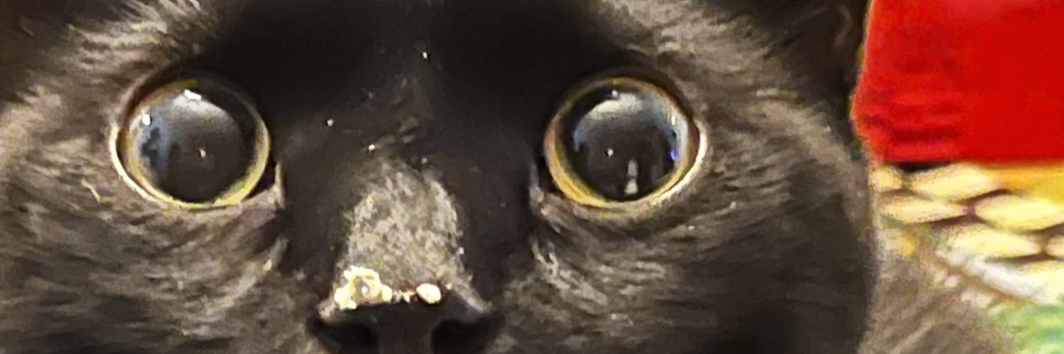 Beth Rollinger 🐜 banner