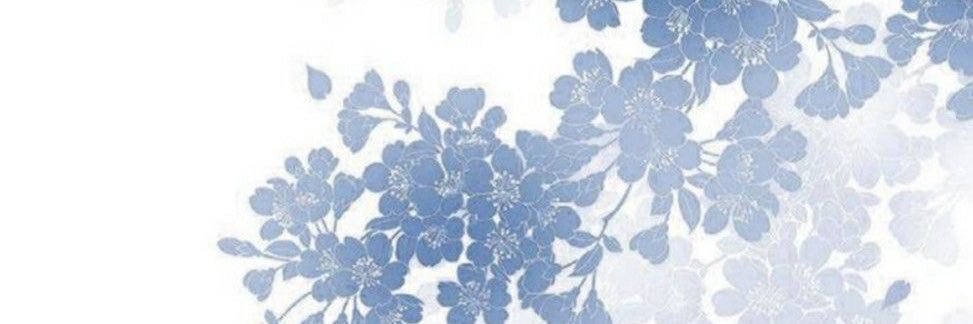 𝓐𝓰𝓾𝓪 • 𝓕𝓵𝓸𝓻 (Md Lento) banner