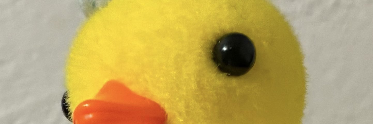CHANKO's banner