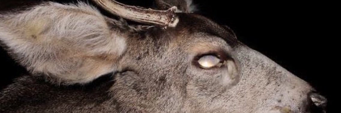 🌾 banner