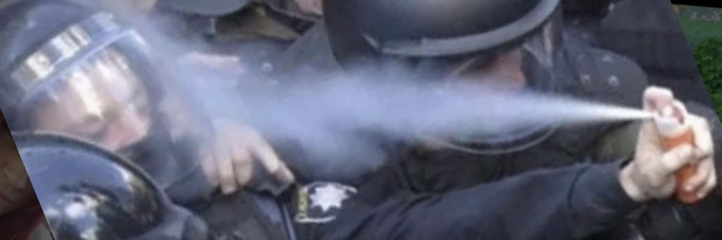 bumsammy's profile banner image