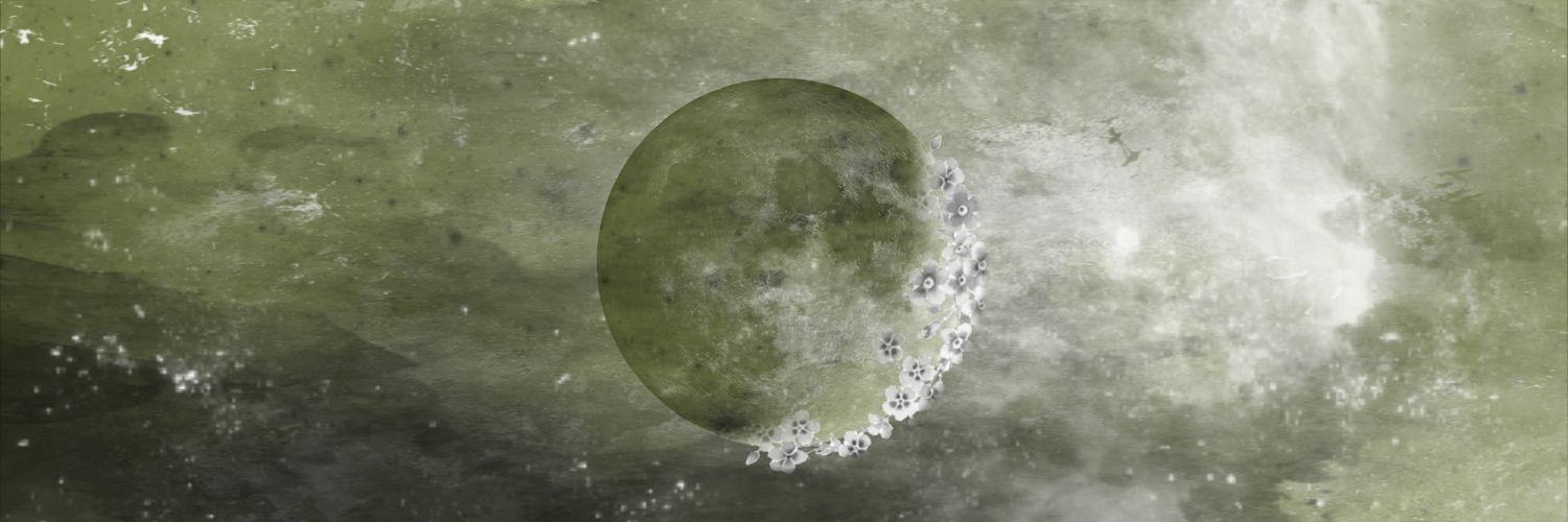 ☾ 𝔏𝑢ղ𝑎 ⋆ banner