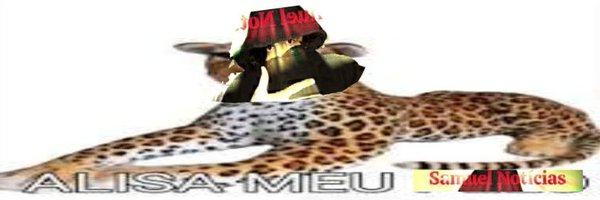 taigatamiau Profile Banner