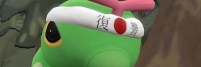Leader Caterpie banner