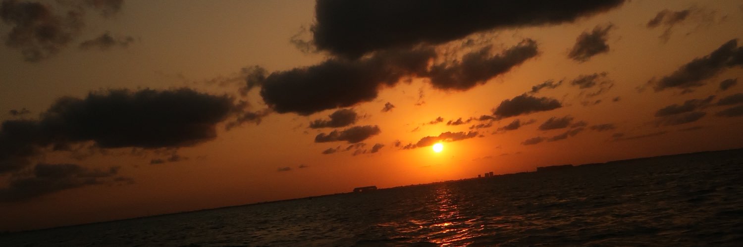 Mariam Obregón banner